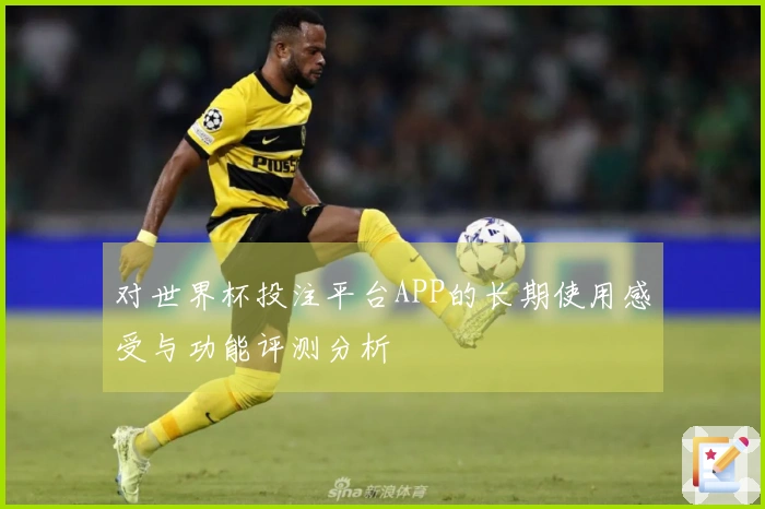 对世界杯投注平台APP的长期使用感受与功能评测分析