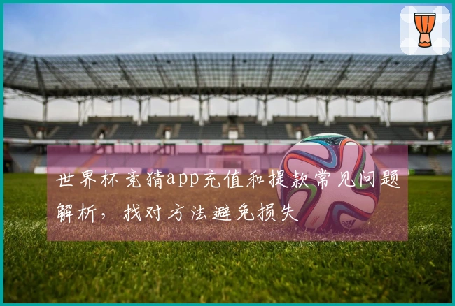 世界杯竞猜app充值和提款常见问题解析，找对方法避免损失