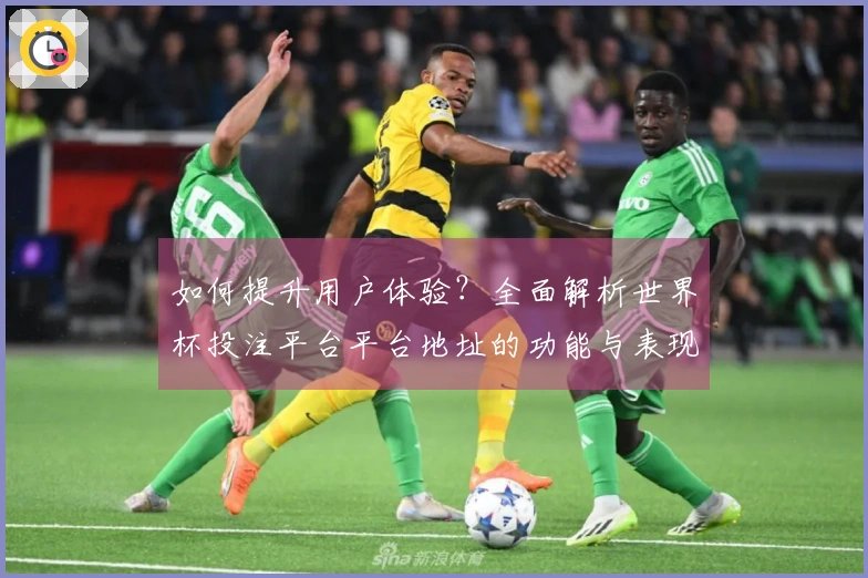 如何提升用户体验？全面解析世界杯投注平台平台地址的功能与表现