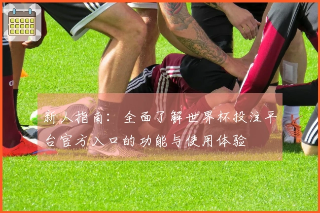 新人指南：全面了解世界杯投注平台官方入口的功能与使用体验