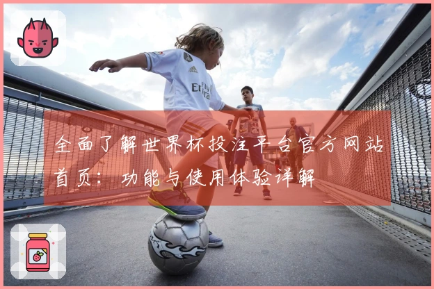 全面了解世界杯投注平台官方网站首页：功能与使用体验详解