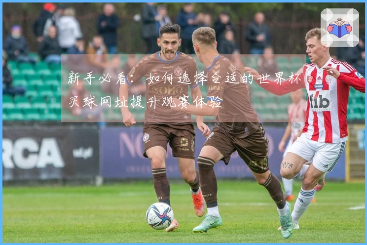 新手必看：如何选择合适的世界杯买球网址提升观赛体验