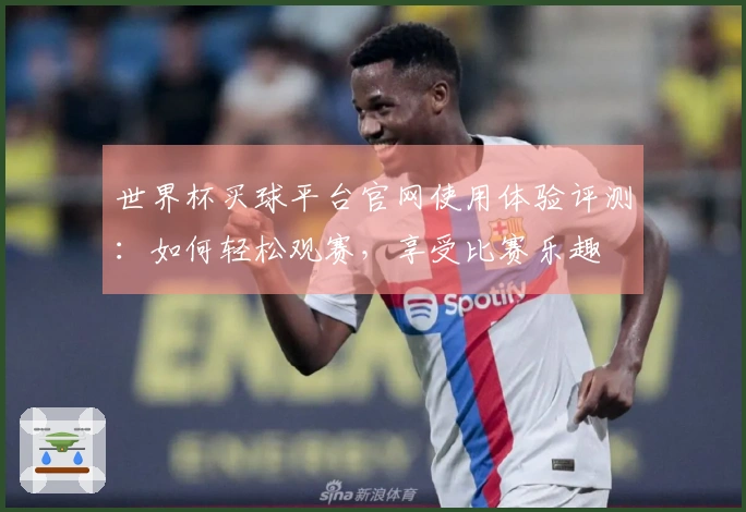 世界杯买球平台官网使用体验评测：如何轻松观赛，享受比赛乐趣