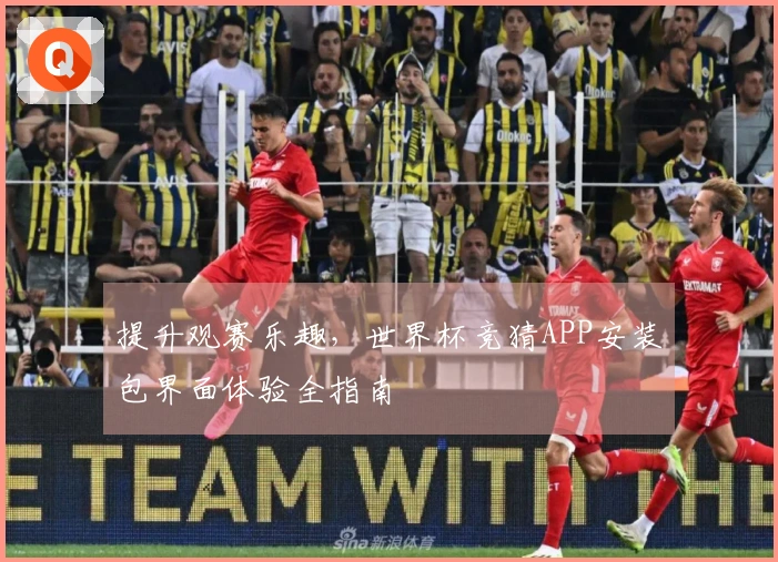 提升观赛乐趣，世界杯竞猜APP安装包界面体验全指南
