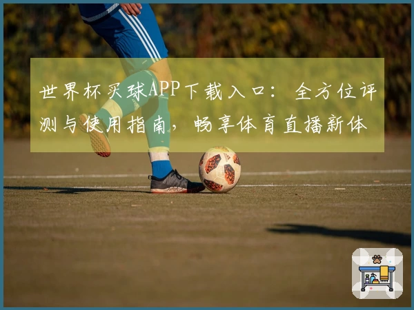 世界杯买球APP下载入口:全方位评测与使用指南,畅享体育直播新体验